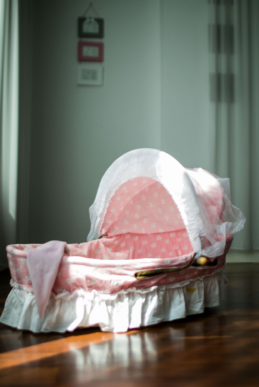 Pink Moses basket bassinet with a white mesh canopy on a wooden floor